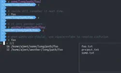 Featured image of post zoxide 使用感受